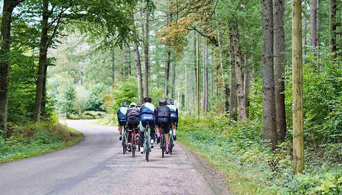 Festive rides to end the year