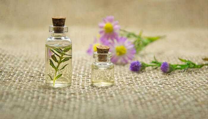 How to Vape CBD Oil More Efficiently? Here are the tips How to Vape CBD Oil More Efficiently? Here are the tips