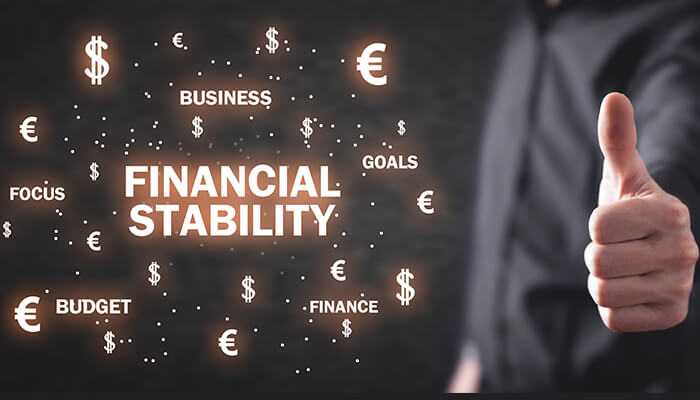 Art of Financial Stability : The Key to Thriving in Business
