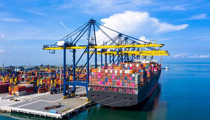 The Comprehensive Guide to Shipping Containers: Sizes, Uses