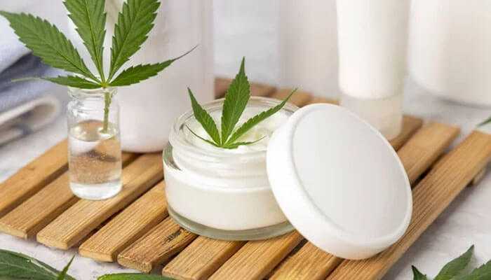 Guide to Non-CBD Infused Balms : Power of Herbal Remedies Guide to Non-CBD Infused Balms : Power of Herbal Remedies