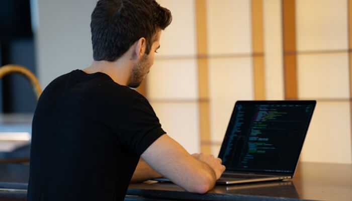 Software Developer : Your Path to Excellence as a Developer