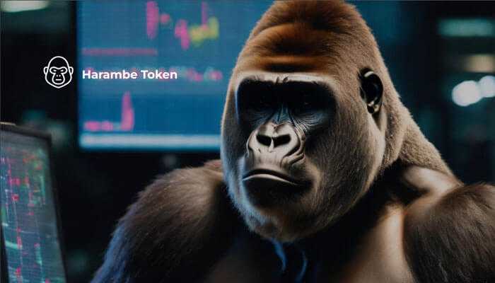 Security of harambe token Security of harambe token