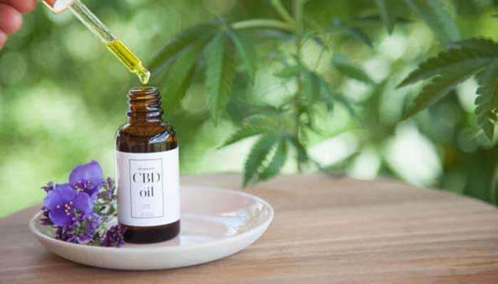 How to Choose the Right CBD Oil Skincare Products for Your Skin Type