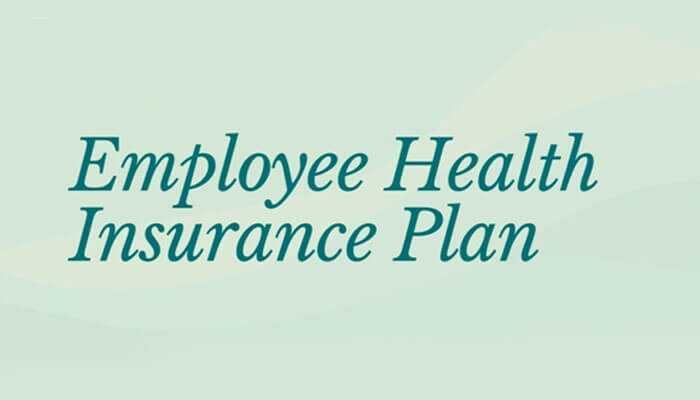 Different packages and its benefit to employees - tycoonstory | tycoonstory media Text reading employee health insurance plan on a soft green background, representing a focus on health benefits and insurance options for employees