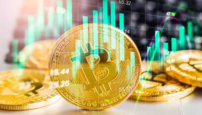 Benefits of crypto investment networks - tycoonstory | tycoonstory media Golden bitcoin coins are all the financial graphs which highlight the crypto investment networks.