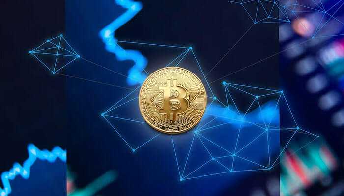 The crypto investment networks guide - tycoonstory | tycoonstory media Crypto investment networks bitcoin coin with a digital network or graph background