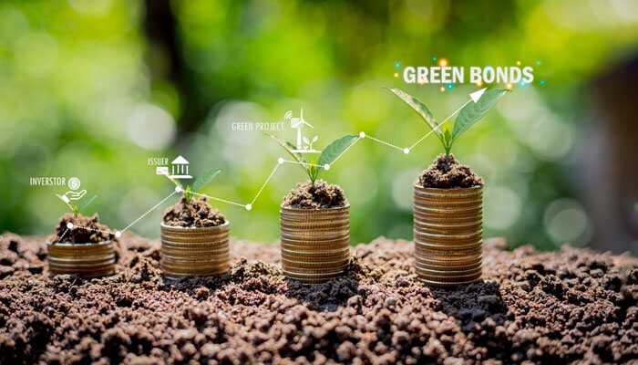 Case studies of major green bond initiatives - tycoonstory | tycoonstory media Stacks of coins with growing plants symbolizing sustainability and investment, labeled with green bonds, investor, issuer, and green project, in a lush, green outdoor setting