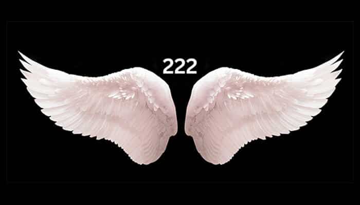 How to use the energy of 222 in your life positively - tycoonstory | tycoonstory media 222 angel number meaning: white angel wings with "222" on a black background represent the balance, harmony, and trust.