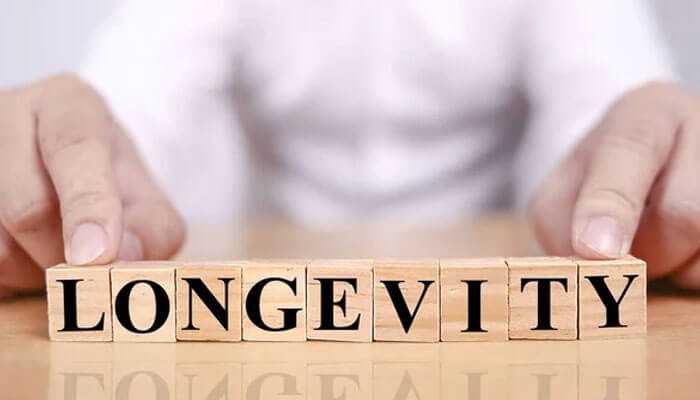 Longevity in business - tycoonstory | tycoonstory media The image shows wooden blocks spelling out the word longevity symbolizing mental and physical wellness, with a persons hands arranging the blocks on a reflective surface
