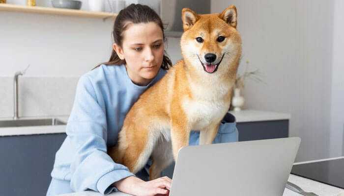 Telemedicine and virtual care - tycoonstory | tycoonstory media A woman in a light blue sweater working on a laptop with a shiba inu dog representing veterinary business models.