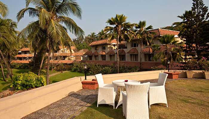 Understand the seasonal impact on your stay - tycoonstory | tycoonstory media A scenic view of one of the best resorts in goa, featuring lush greenery, palm trees, and outdoor seating with a luxurious stay experience.