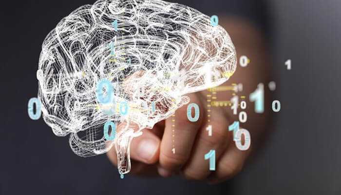 What is the highest iq ever recorded in the world - tycoonstory | tycoonstory media "what is the highest iq ever recorded in the world – digital representation of a human brain with binary code, symbolizing intelligence and advanced cognitive abilities.