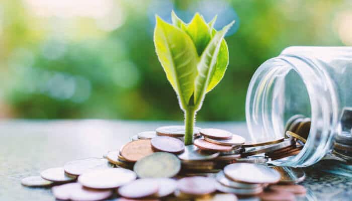 Financial investment | tycoonstory media Business ownership and financial growth symbolized by coins and a sprouting plant, representing investment and prosperity.