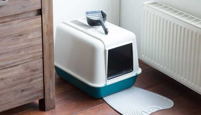 Best types of litter for self-cleaning boxes | tycoonstory media Self-cleaning cat litter box with a scoop on top, placed on a floor near a wooden dresser and a radiator, showing a clean and modern pet hygiene setup.