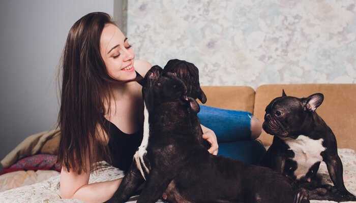 Bonding with owners 1 | tycoonstory media Young woman playing affectionately with her french bulldog puppies on a cozy bed