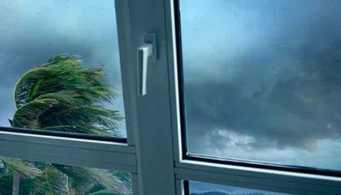Impact rated windows | tycoonstory media View of palm trees bending in strong winds through impact rated windows — designed for hurricane protection and extreme weather durability.