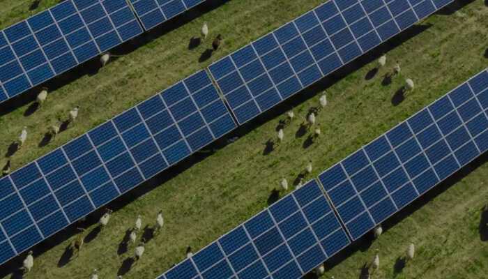 Key advantages of microgrids | tycoonstory media Microgrid solutions featuring organized solar panel arrays installed on green land for sustainable energy production.