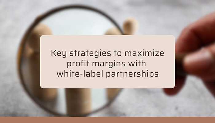 Key strategies to maximize profit margins with white-label partnerships | tycoonstory media Magnifying glass held over wooden figures with text overlay: key strategies to maximize profit margins with white-label partnerships —the concept of white-label marketing.