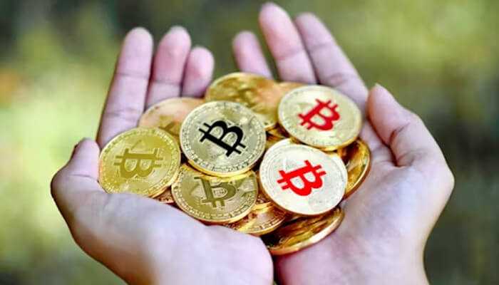 Notable crypto-powered social impact projects | tycoonstory media Hands holding multiple bitcoin coins representing the concept of crypto-powered social impact projects enabling financial inclusion and philanthropy.