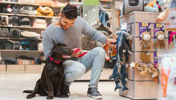 Stuff is made for dogs | tycoonstory media Stuff is made for dogs