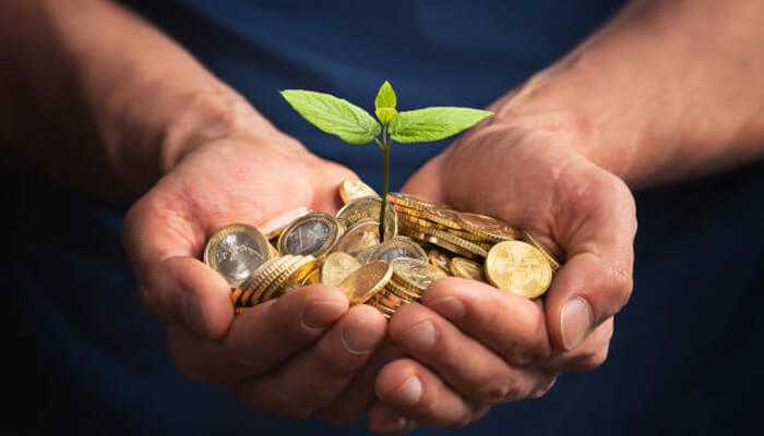 Understand the investment options available | tycoonstory media Hands holding coins and a growing plant symbolizing sustainable investment and long-term financial growth at daf holding company.