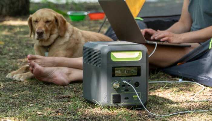 Sustainability on the go 1 | tycoonstory media A person using a laptop outdoors powered by a portable power station, with a relaxed dog nearby, creating a perfect remote work and camping setup.