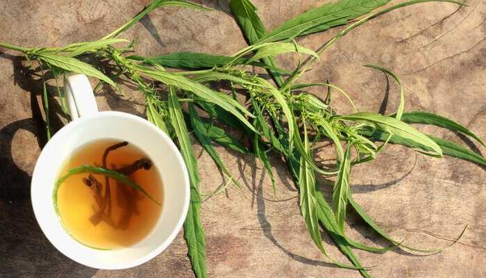 The easiest way to make kratom tea | tycoonstory media The easiest way to make kratom tea