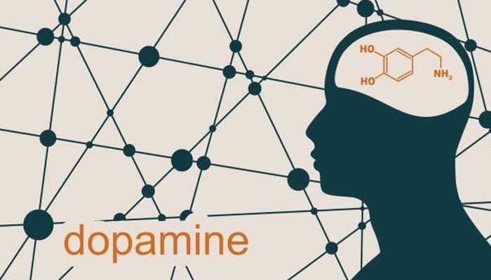 The rise of dopamine culture | tycoonstory media The rise of dopamine culture