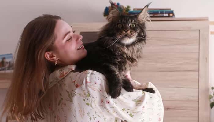 Maine coon breeder Smiling woman holding a large maine coon cat, highlighting the loving bond and quality care provided by a dedicated maine coon breeder.