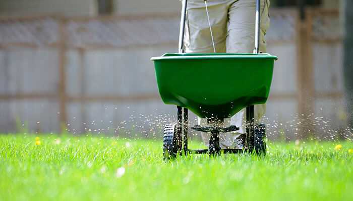 Lawn fertilization - tycoonstory | tycoonstory media Professional lawn care in fort worth with a worker spreading fertilizer using a spreader on the lawn.