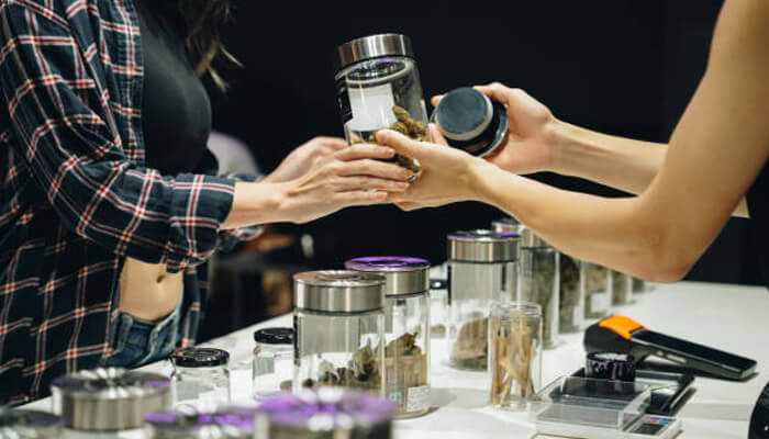 Considering location and accessibility when selecting a dispensary 1 | tycoonstory media Customer receiving product recommendations at a cannabis dispensary with various jars on display.