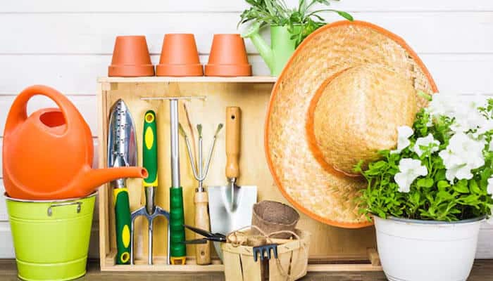 Zone creation - tycoonstory | tycoonstory media Neatly arranged gardening tools and plants displayed as part of declutter your garage organization project.