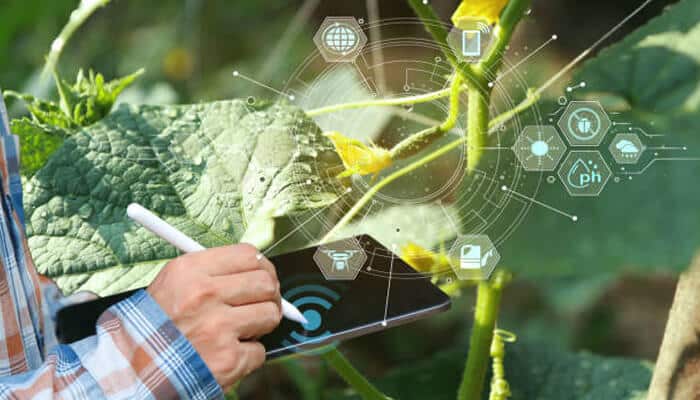 Remote access solutions for agricultural | tycoonstory media Agricultural professional using a tablet to monitor crops with remote access solutions and smart farming technology in a field.
