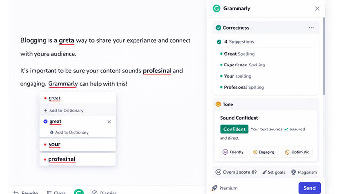 Grammarly - tycoonstory media | tycoonstory media Spellmistake seo tools showing grammarly's suggestions to correct spelling errors like 'greta', 'experiance', 'youre', and 'profesinal' in a blog post.