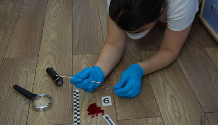 Collect evidence early | tycoonstory media Collect evidence early