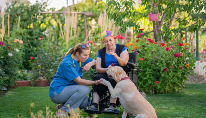 Comfortable interaction with staff | tycoonstory media A woman in a wheelchair interacts with a dog while a staff member assists in a garden. This calm exchange is one of the signs your dog adjusts well to boarding.