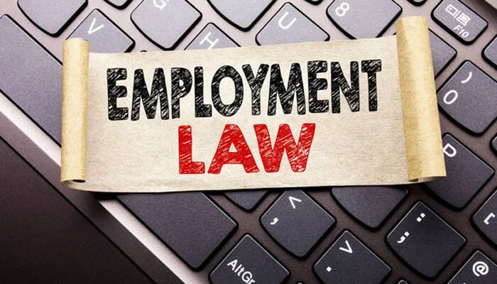 Employment law considerations for staff transition | tycoonstory media Employment law considerations for staff transition