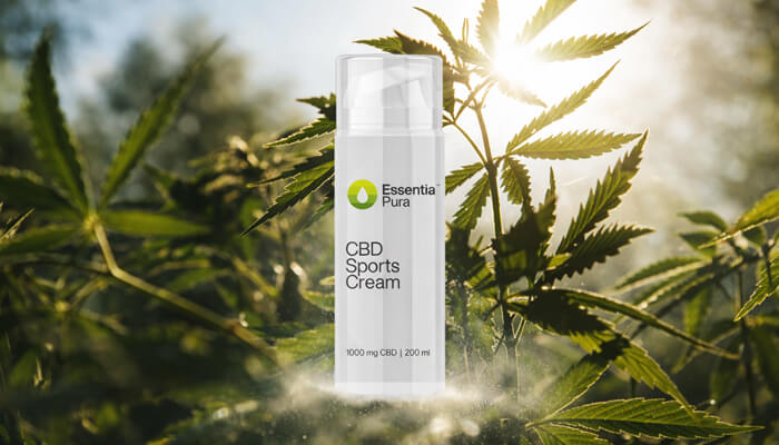 Essentia pura | tycoonstory media Essentia pura cbd sports cream, showcasing a bottle with 1000 mg cbd content, surrounded by cannabis leaves, highlighting the role of white label cbd manufacturers in creating high-quality cbd products for athletes and wellness enthusiasts.