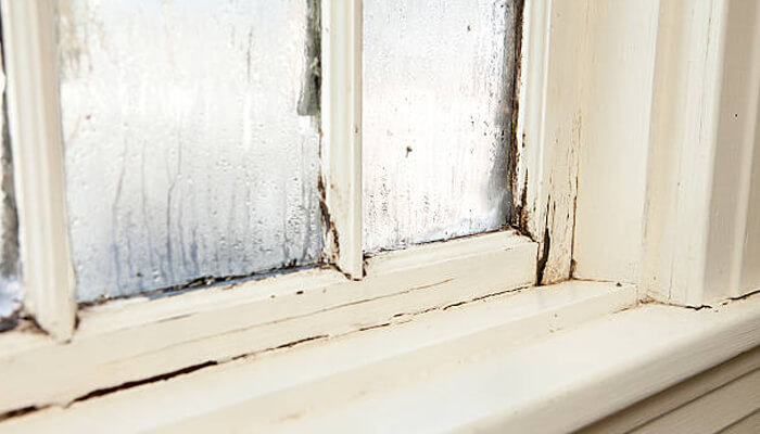 Structural decay and exterior damage | tycoonstory media Structural decay and exterior damage