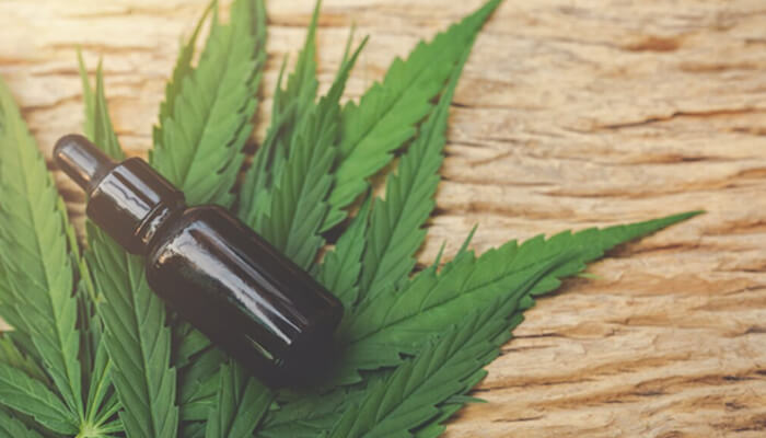 2 3 | tycoonstory media Dark glass dropper bottle resting on cannabis leaves spread on a wooden table surface