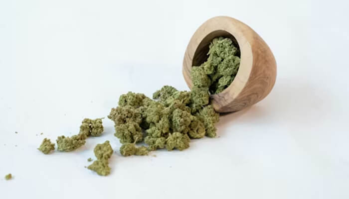 5 1 | tycoonstory media Cannabis buds spilled from a wooden grinder onto a white surface, showing green ground herb.