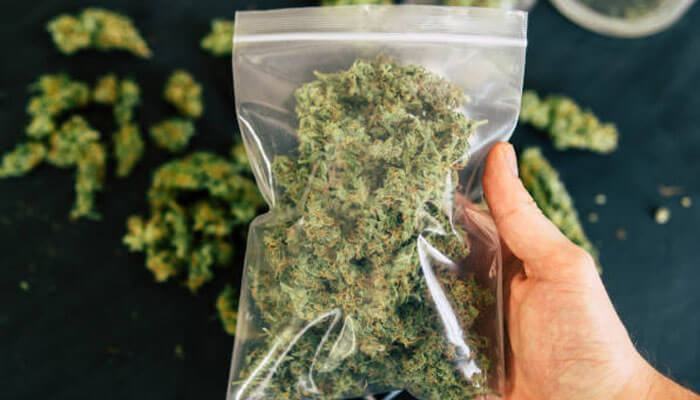 Long-term cannabis inventories | tycoonstory media Long-term cannabis inventories