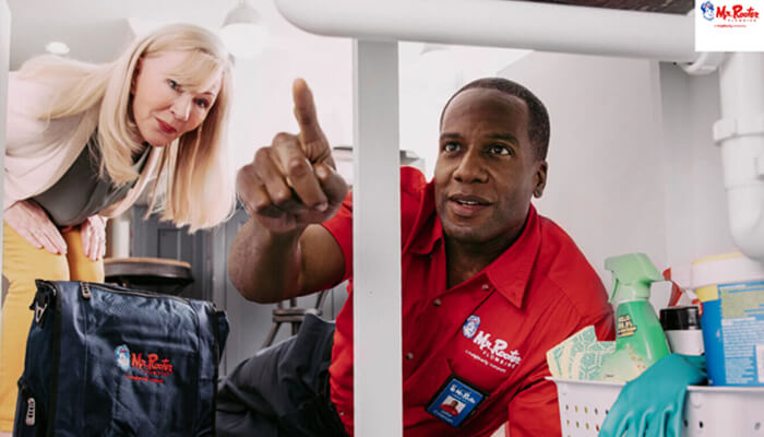 Plumber in beaver | tycoonstory media Plumber in beaver