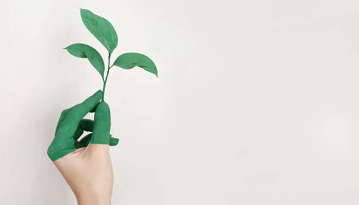 Green industry brand | tycoonstory media Hand painted green holding a small leafy plant against a plain light background, symbolizing growth or sustainability.