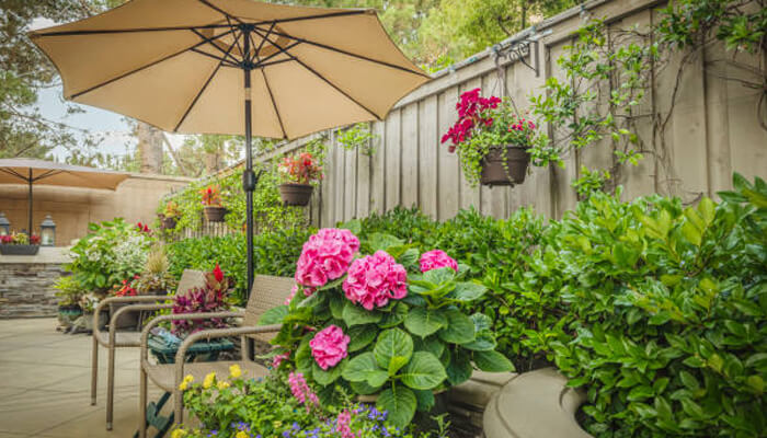 The use of greenery and plants | tycoonstory media The use of greenery and plants