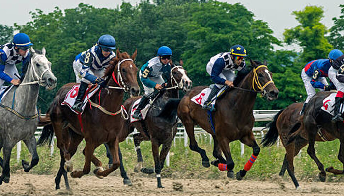 Unbeaten records trainer trust and track conditions | tycoonstory media Unbeaten records, trainer trust, and track conditions