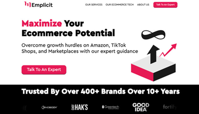 1 6 | tycoonstory media Hero banner for emplicit: 'maximize your ecommerce potential' with subheading about guidance for amazon, tiktok, and marketplaces, plus a pink 'talk to an expert' button and abstract graphic.
