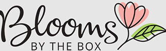 Bloomsbythebox | tycoonstory media Bloomsbythebox
