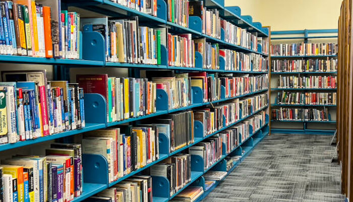 Book shelves | tycoonstory media Durable commercial furniture in a library with sturdy blue shelving designed for organized book storage and long-term public use.
